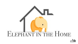 You’ve Got Idols | Elephant in the Home | Ephesians 5:1-2